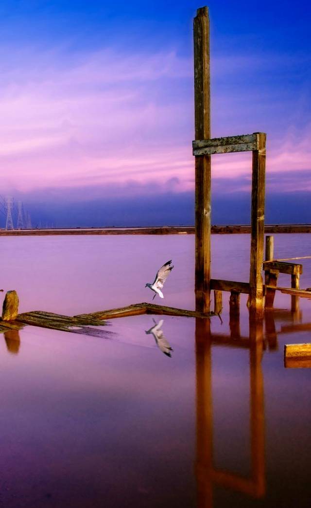 تصویر شماره 2